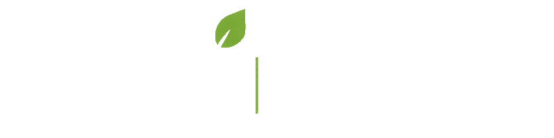 Soluzioni Energia Italia