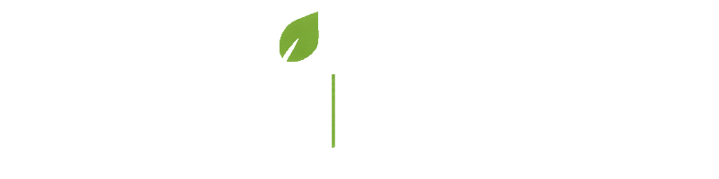 Soluzioni Energia Italia