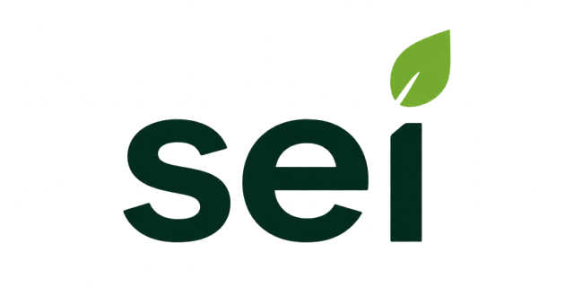 Soluzioni Energia Italia