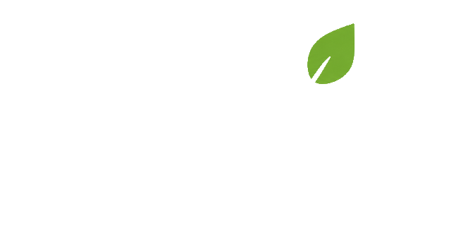 Soluzioni Energia Italia