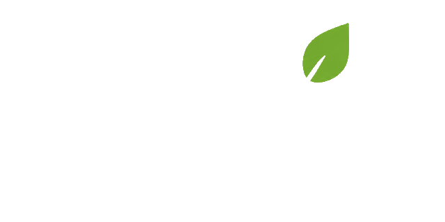 Soluzioni Energia Italia